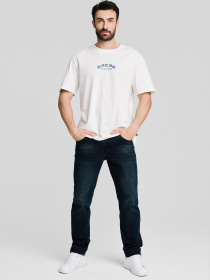 Футболка DIVERSE модель 10046884 Фото