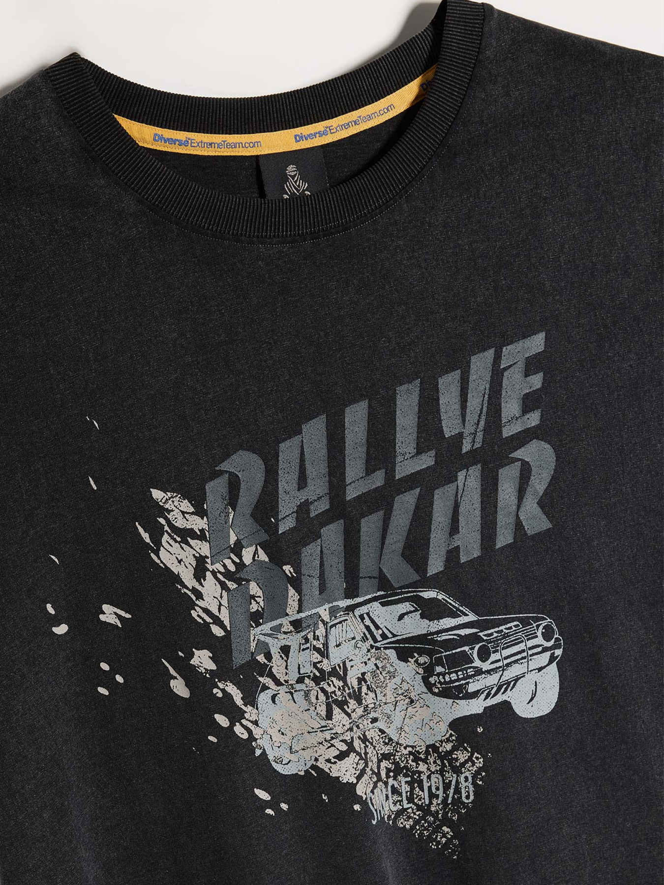 Футболка DIVERSE модель 10046881 Фото