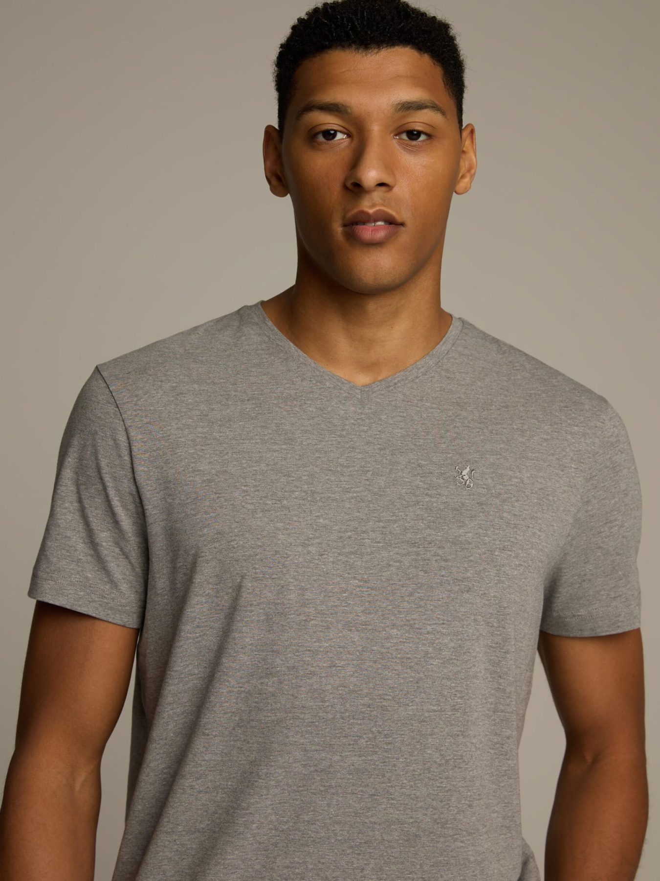 Футболка DIVERSE модель 10046858 Фото