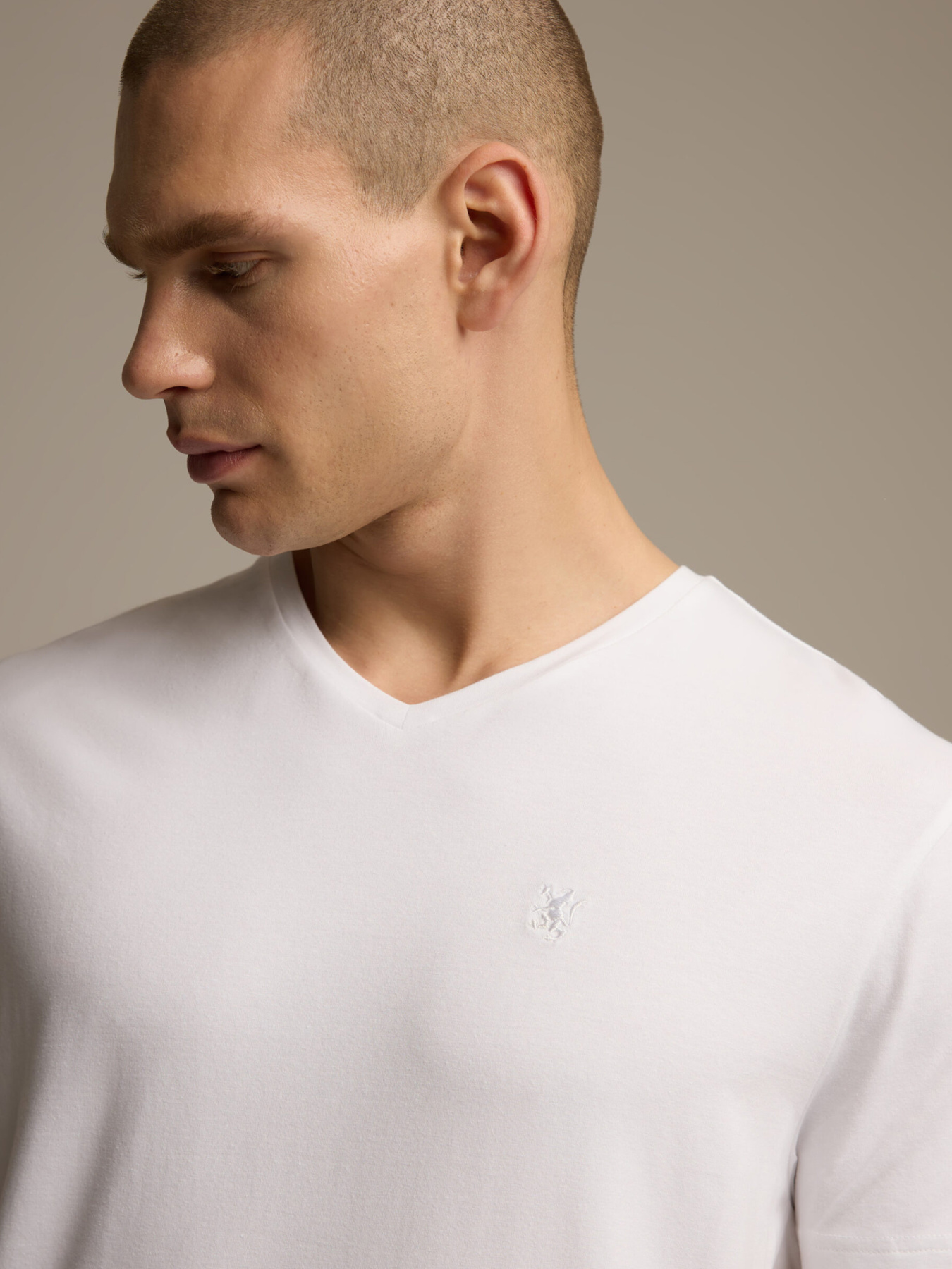 Футболка DIVERSE модель 10046858 Фото