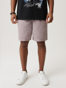 Шорты DIVERSE модель 10046833 Фото