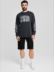 Шорты DIVERSE модель 10046819 Фото