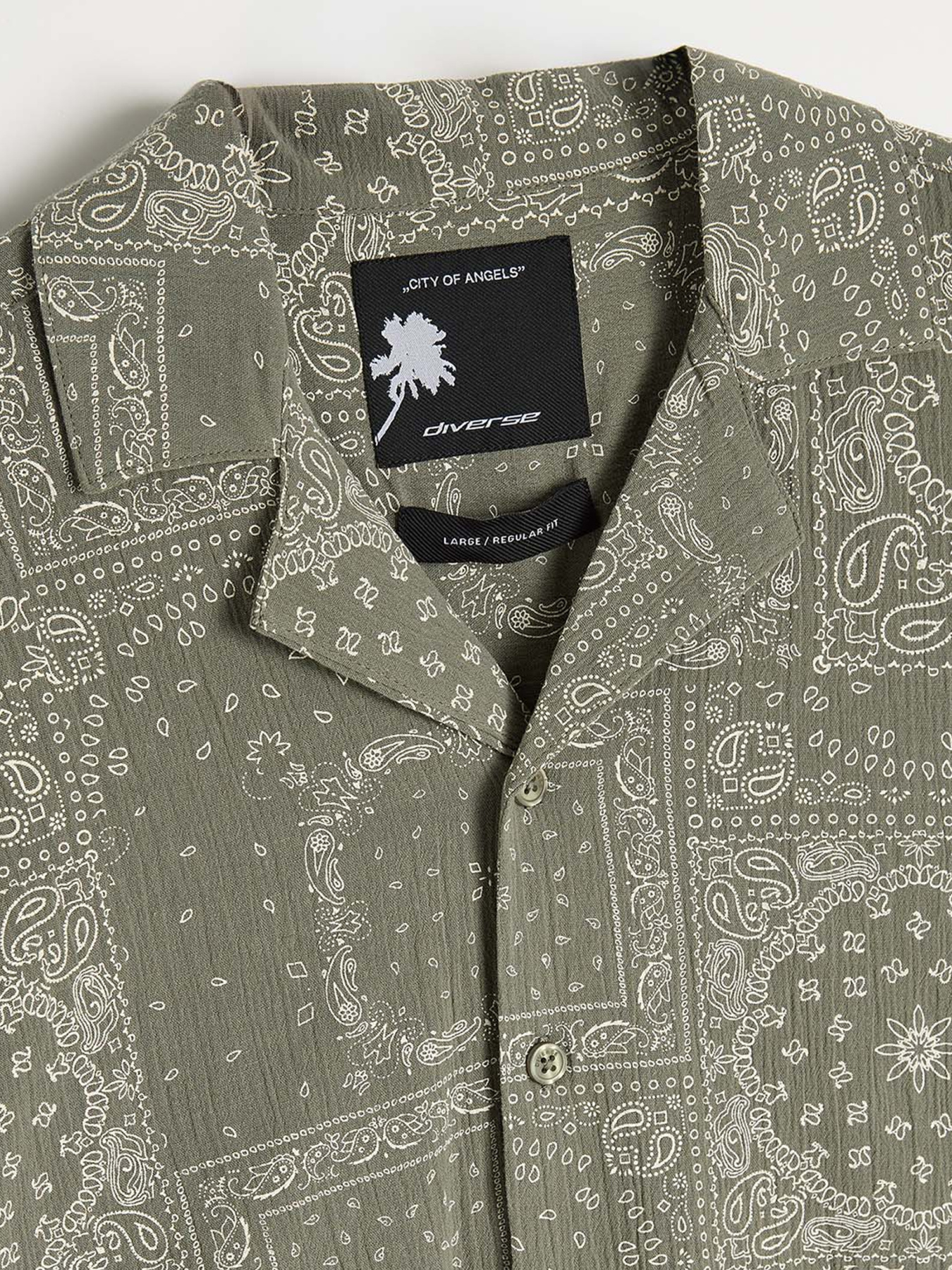 Рубашка повседневная DIVERSE модель 10046804 Рубашка повседневная DIVERSE модель 10046804 Фото