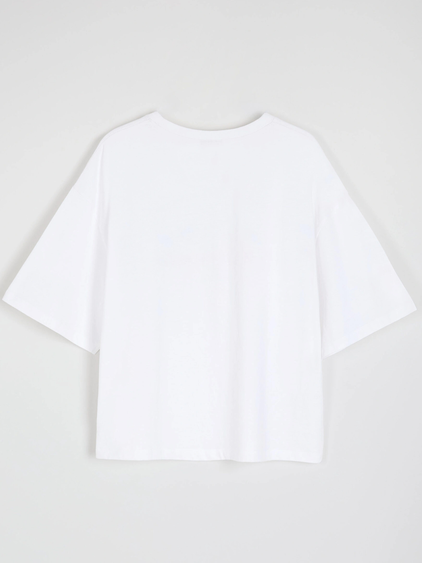 Футболка DIVERSE модель 10046788 Фото