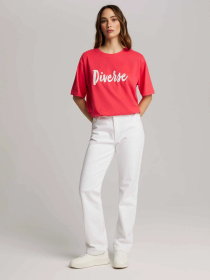 Футболки и поло DIVERSE модель 10046779 Фото