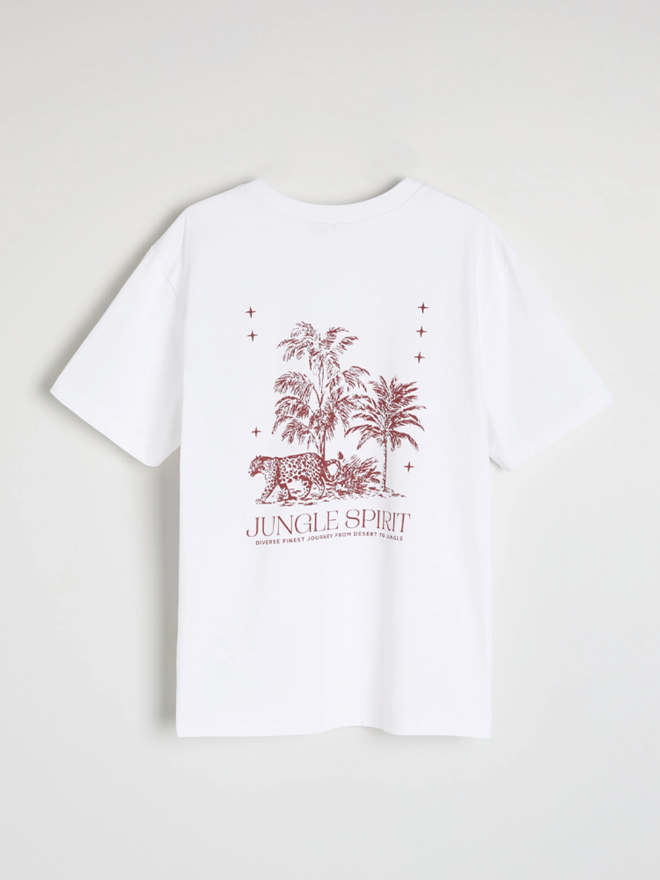 Футболки и поло DIVERSE модель 10046770 Фото