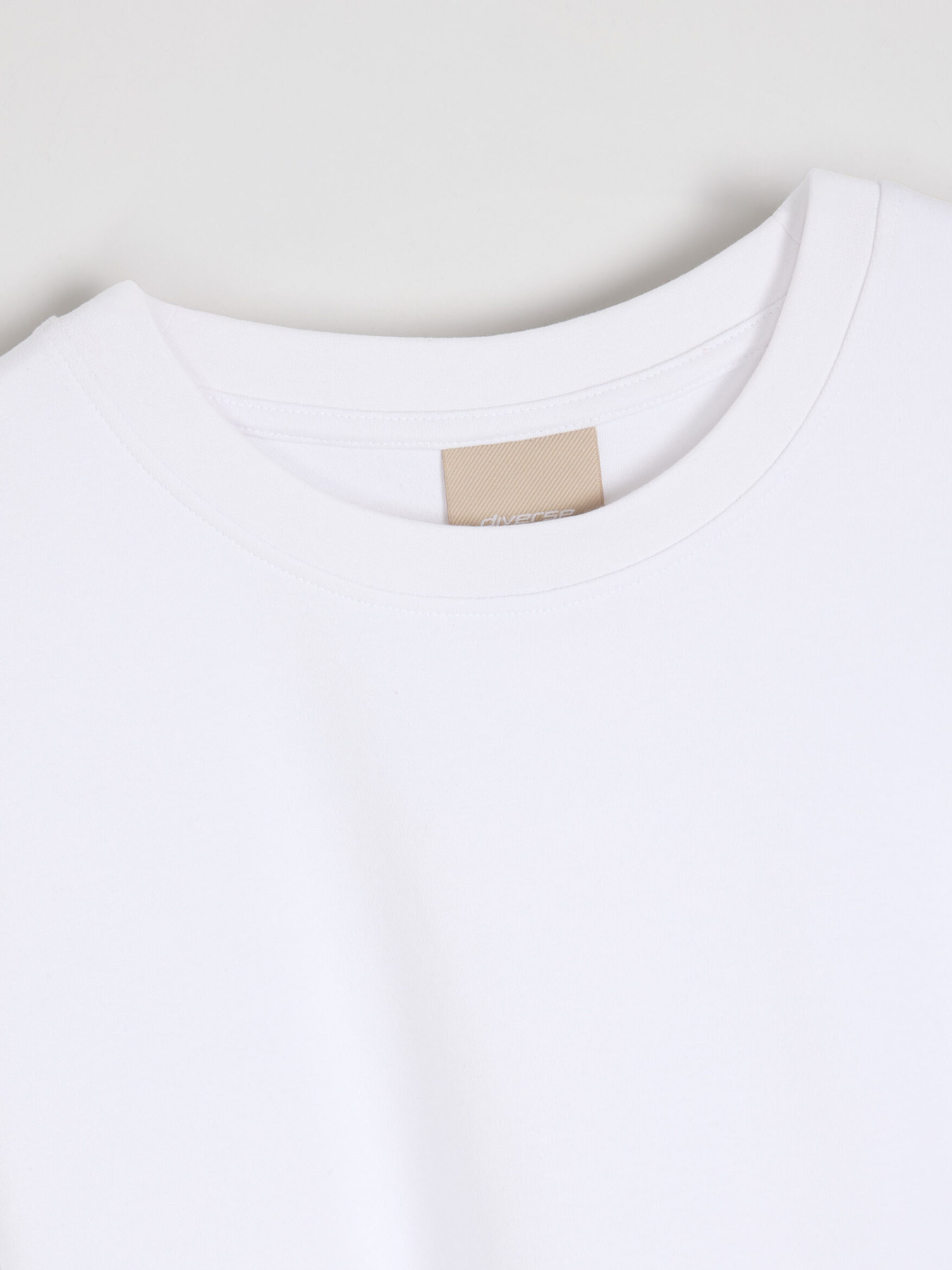 Футболка DIVERSE модель 10046753 Фото