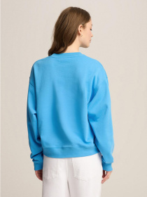 Свитшот DIVERSE модель 10046640 Фото