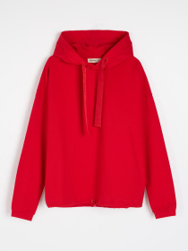 Худи DIVERSE модель 10046637 Фото