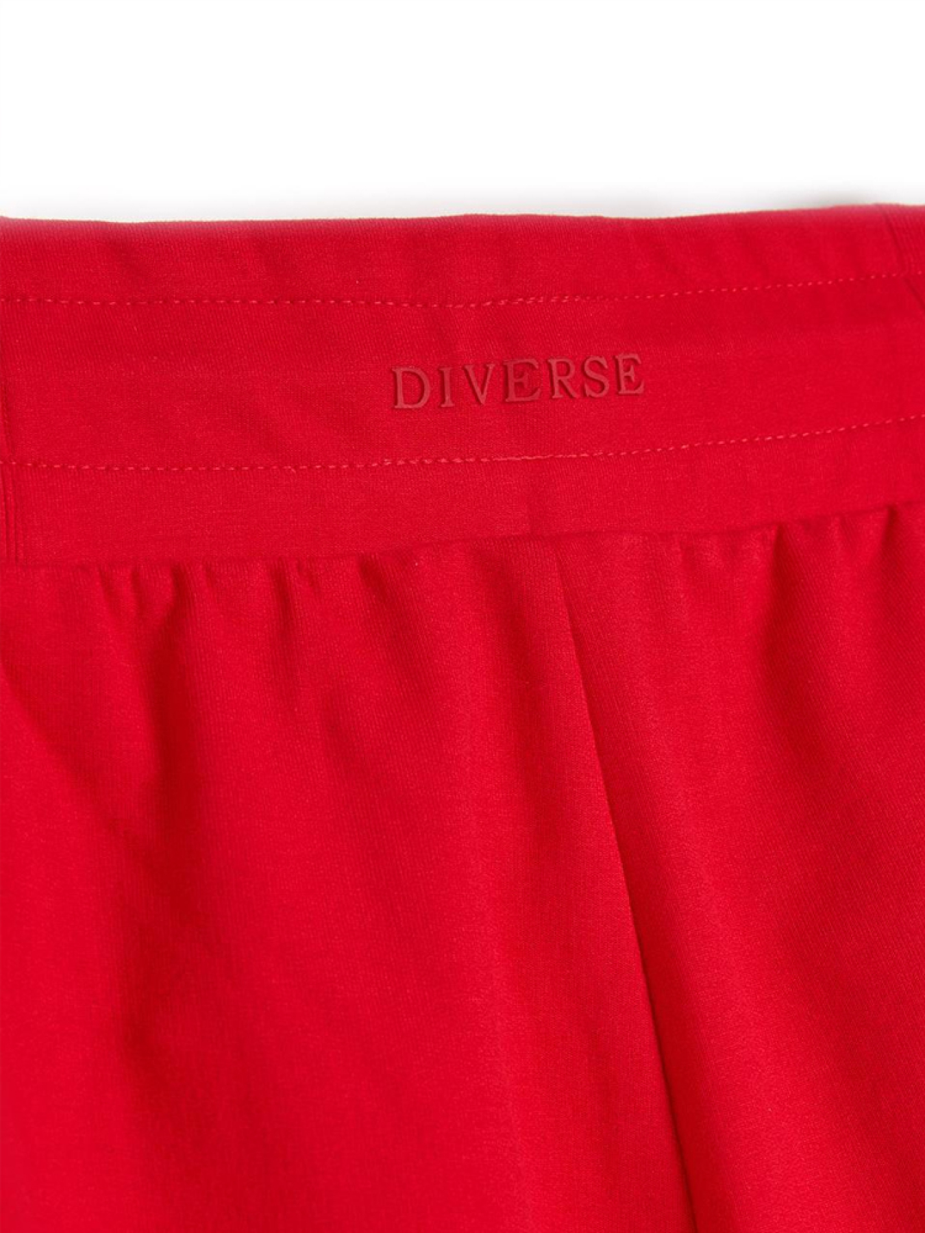 Штаны спортивные DIVERSE модель 10046636 Фото