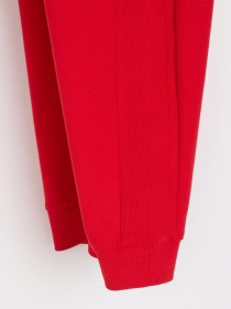 Штаны спортивные DIVERSE модель 10046636 Фото