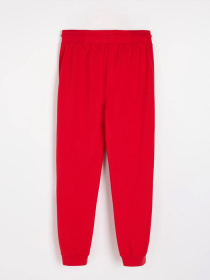 Штаны спортивные DIVERSE модель 10046636 Фото