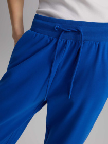 Штани спортивні DIVERSE модель 10046636 Фото