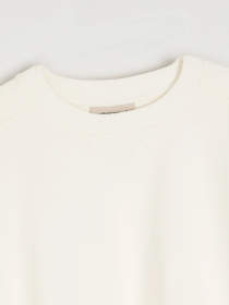 Свитшот DIVERSE модель 10046631 Фото