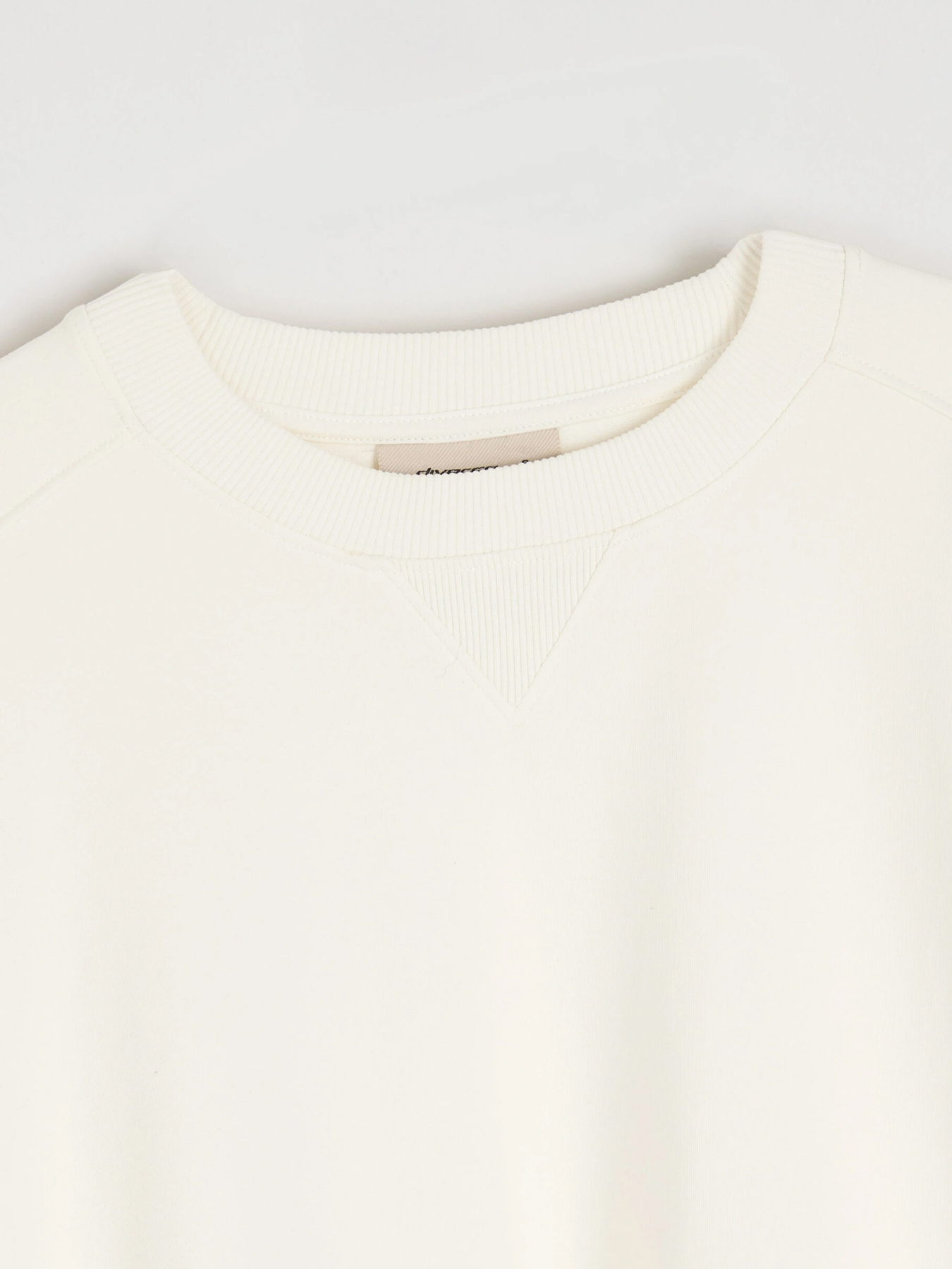 Свитшот DIVERSE модель 10046631 Свитшот DIVERSE модель 10046631 Фото