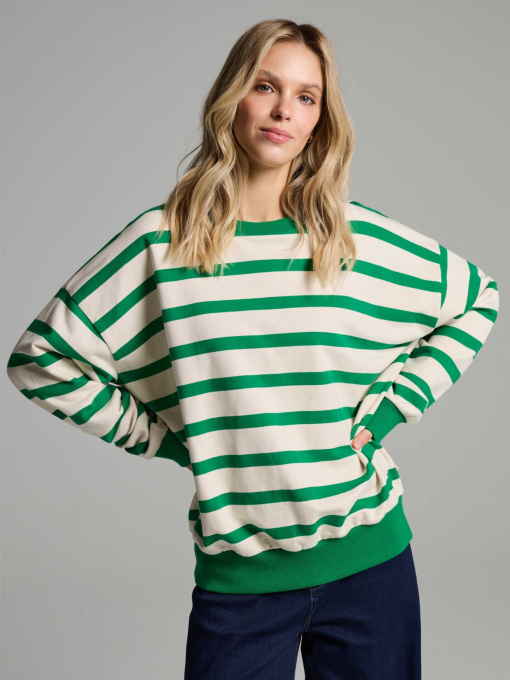 Свитшот DIVERSE модель 10046626 Фото