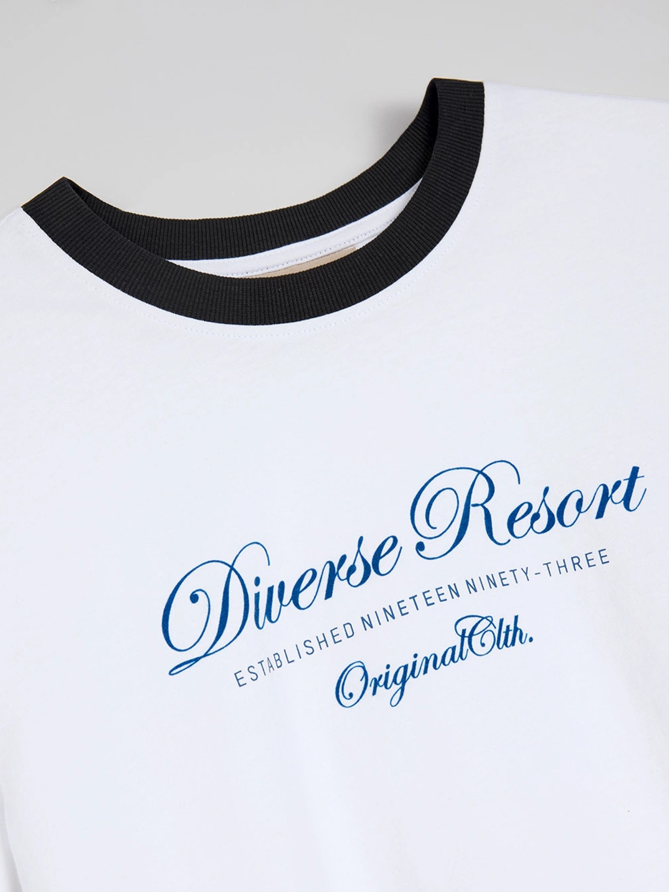 Футболка DIVERSE модель 10046501 Фото