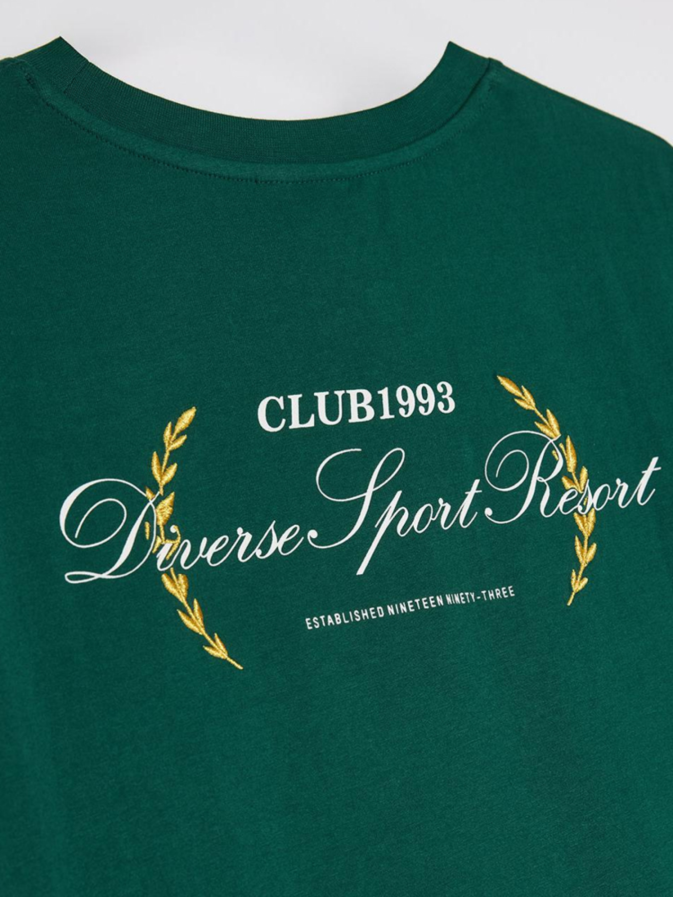 Футболка DIVERSE модель 10046434 Фото