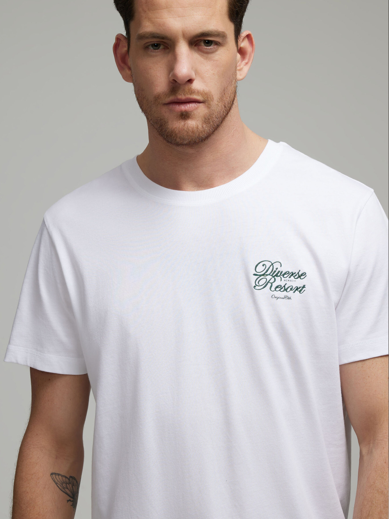 Футболка DIVERSE модель 10046433 Фото