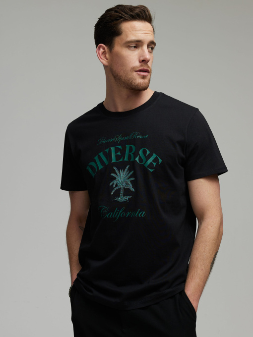Футболка DIVERSE модель 10046432 Фото