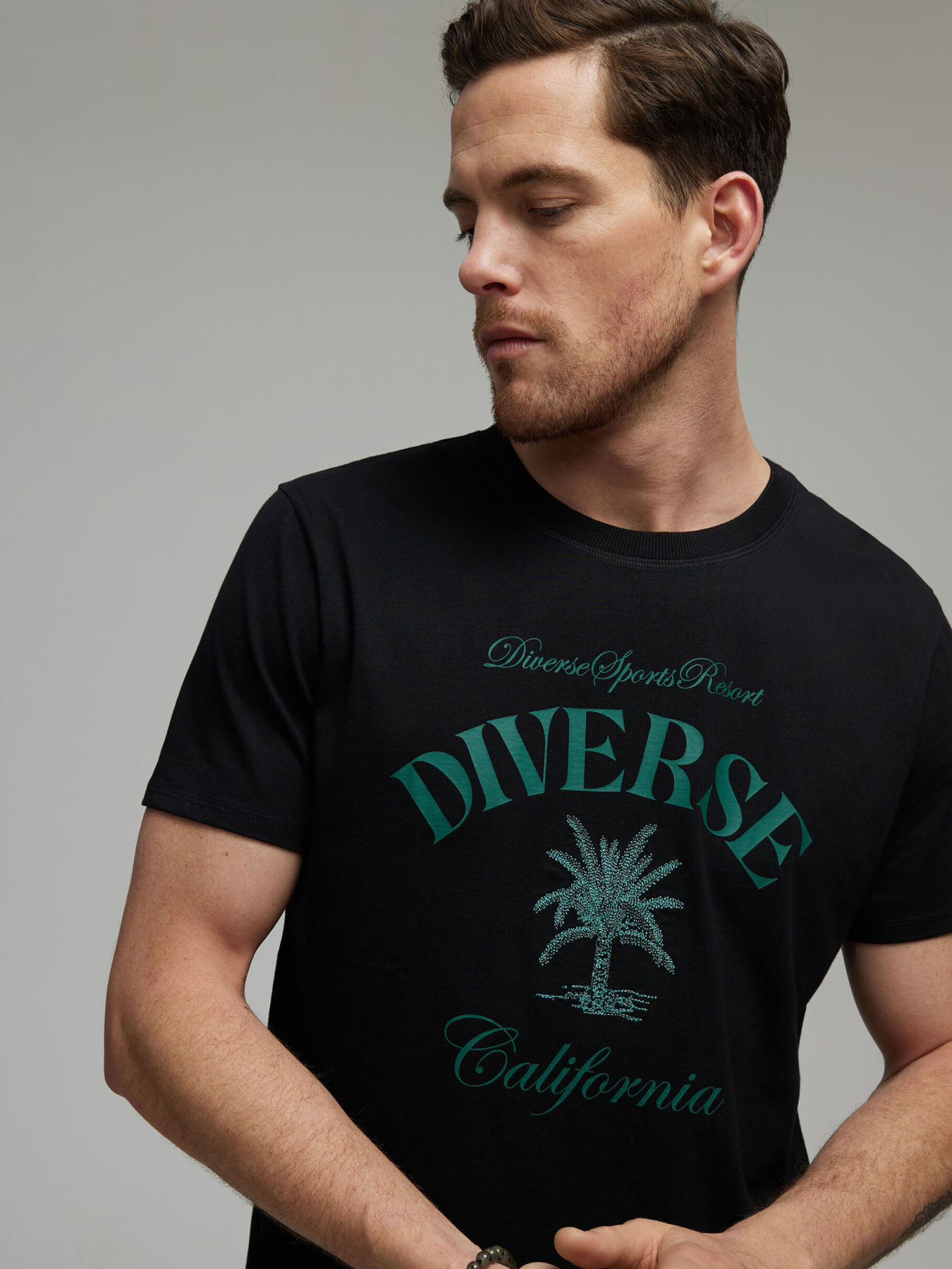 Футболка DIVERSE модель 10046432 Фото