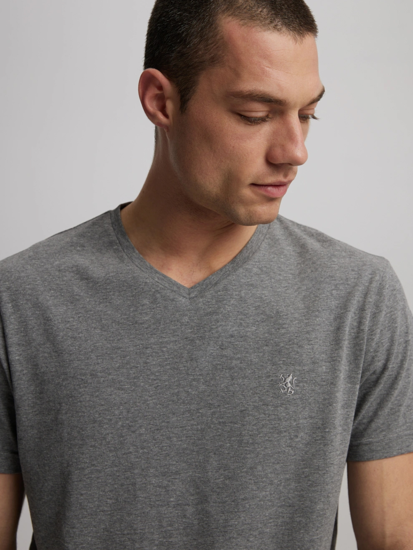 Футболка DIVERSE модель 10046422 Фото