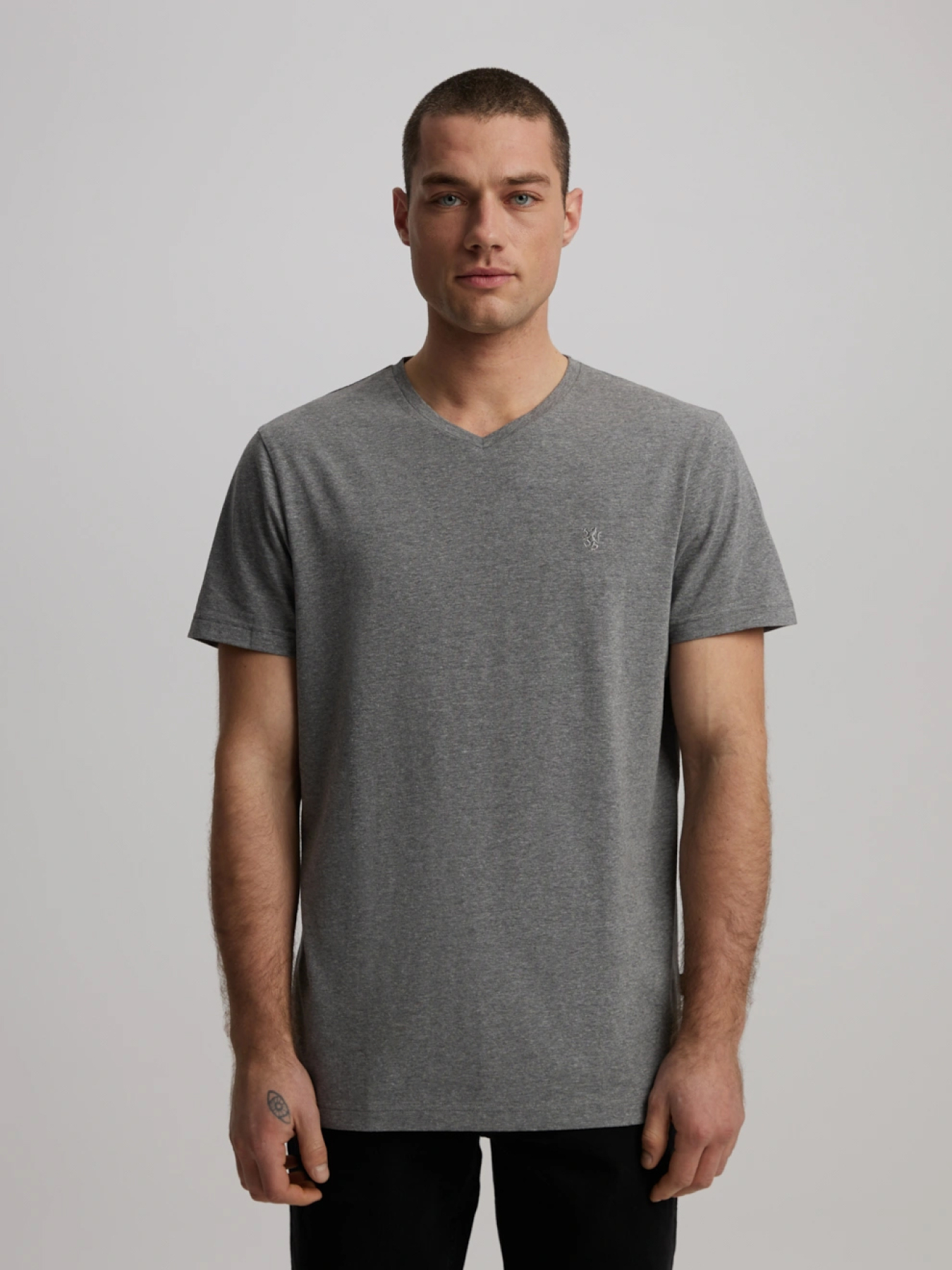 Футболка DIVERSE модель 10046422 Фото