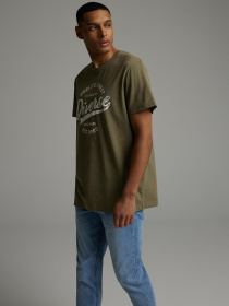 Футболка DIVERSE модель 10046409 Фото