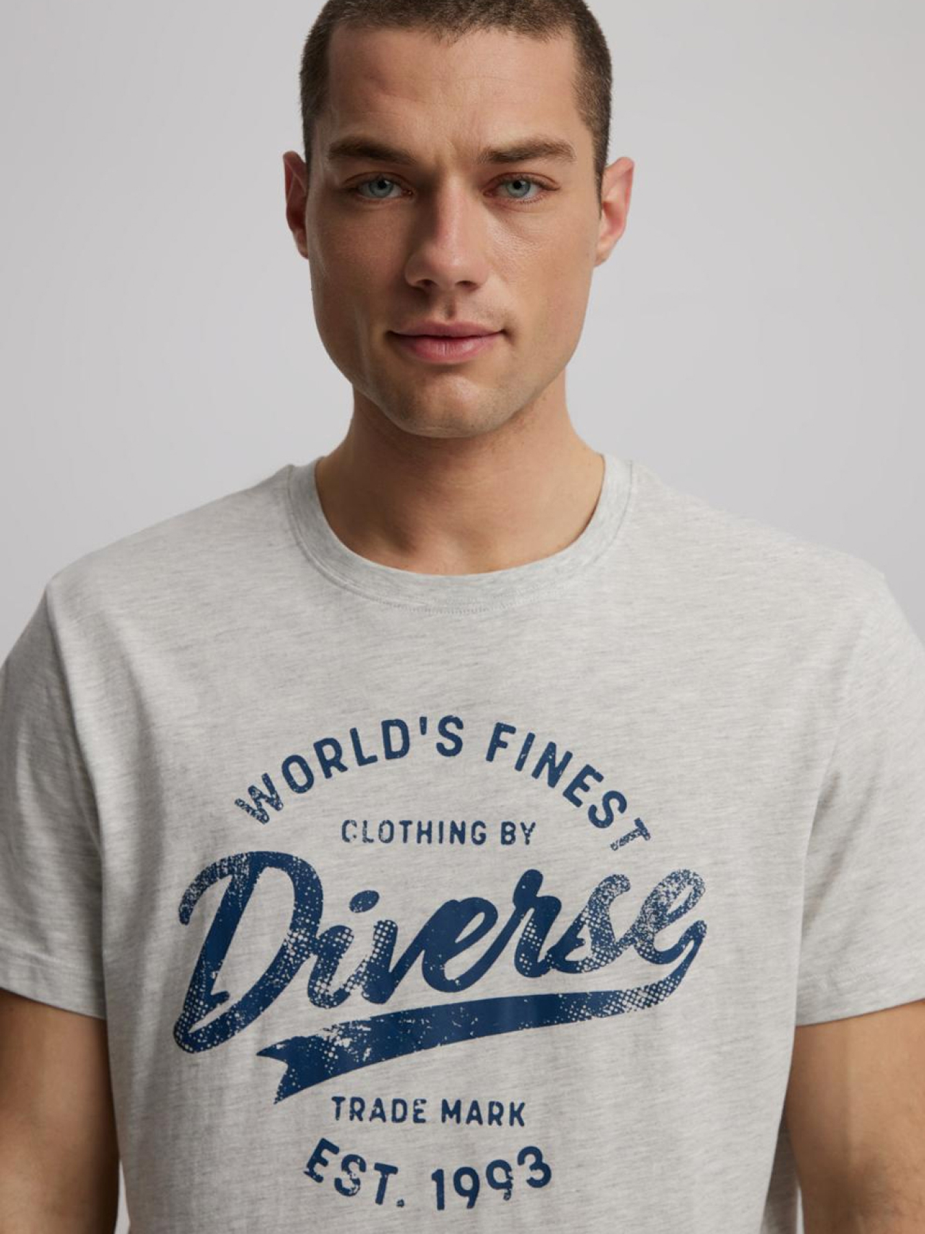 Футболка DIVERSE модель 10046409 Фото