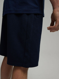 Повсякденні шорти DIVERSE Prm Sh 225 модель 10046401 Фото