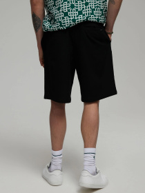 Шорты DIVERSE Cote модель 10046395 Фото