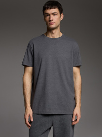 Футболка DIVERSE модель 10046191 Фото