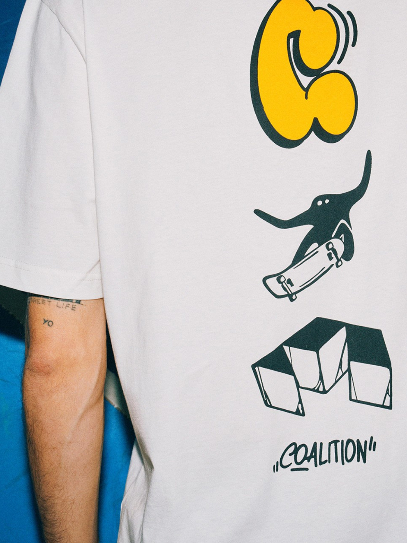 Футболка DIVERSE модель 10046164 Фото