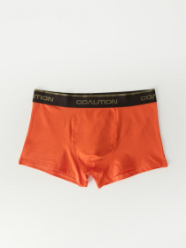 Набор трусов DIVERSE модель 10045903 Фото