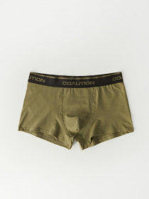 Набор трусов DIVERSE модель 10045903 Фото