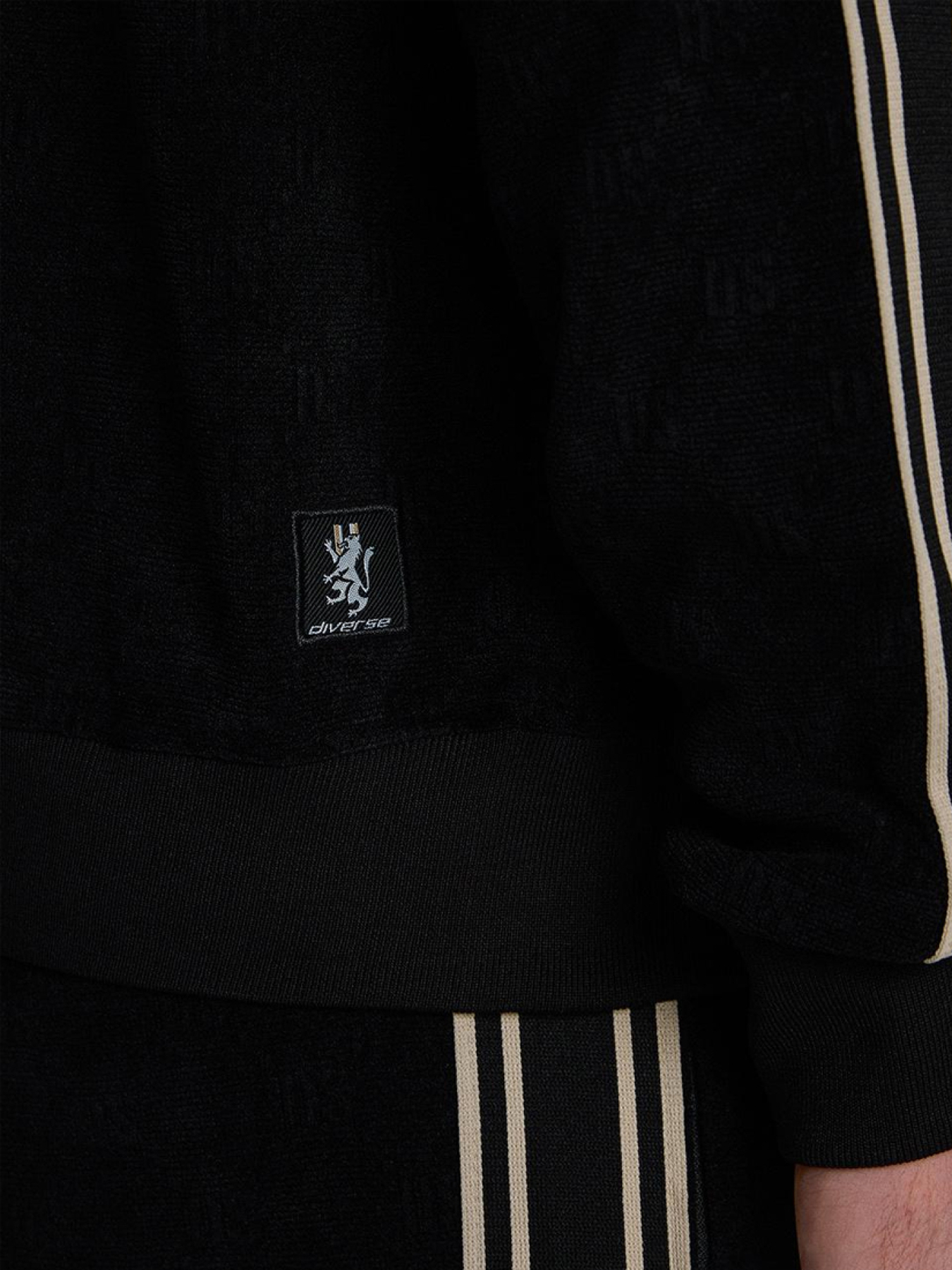 Спортивна кофта DIVERSE модель 10046126 Фото