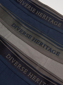 Набір трусів DIVERSE модель 10046087 Фото