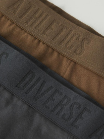 Набор трусов DIVERSE модель 10045455 Фото