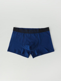 Набор трусов DIVERSE модель 10043777 Фото