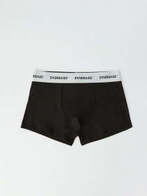 Набор трусов DIVERSE модель 10041011 Фото