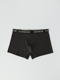 Набор трусов DIVERSE модель 10041009 Фото