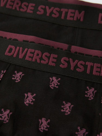 Набор трусов DIVERSE модель 10040840 Фото