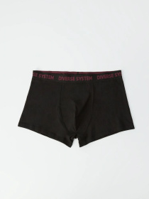 Набор трусов DIVERSE модель 10040840 Фото