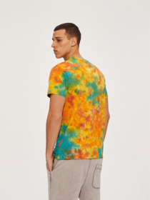 Футболка DIVERSE модель 10039218 Фото