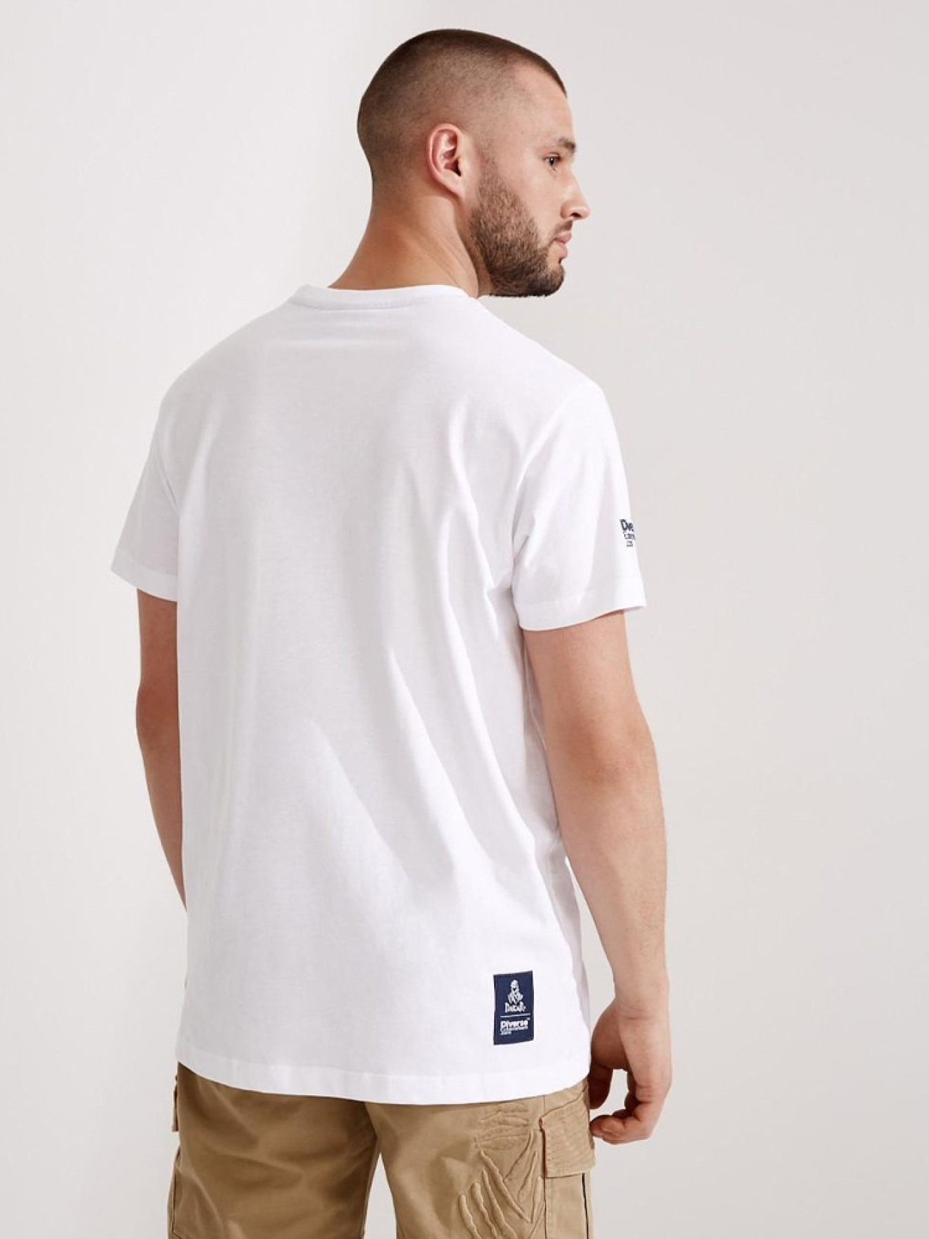 Футболка DIVERSE модель 10036952 Фото