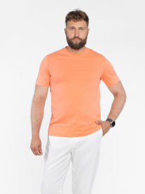 Футболка Arber модель M13.19.37.521 Фото