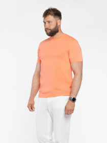 Футболка Arber модель M13.19.37.521 Фото