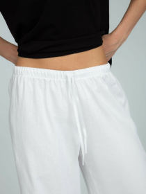 Штани Famo модель BR-136_02 Фото