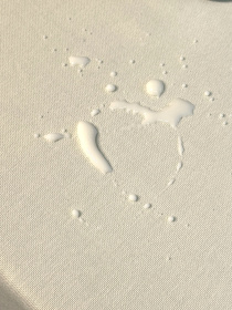 Скатертина столова із брудо- та водовідштовхувальною дією молочного кольору однотонна Ecotton модель 24030 Фото