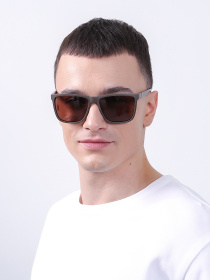 Солнцезащитные очки LuckyLOOK модель LL2933534724204 Фото